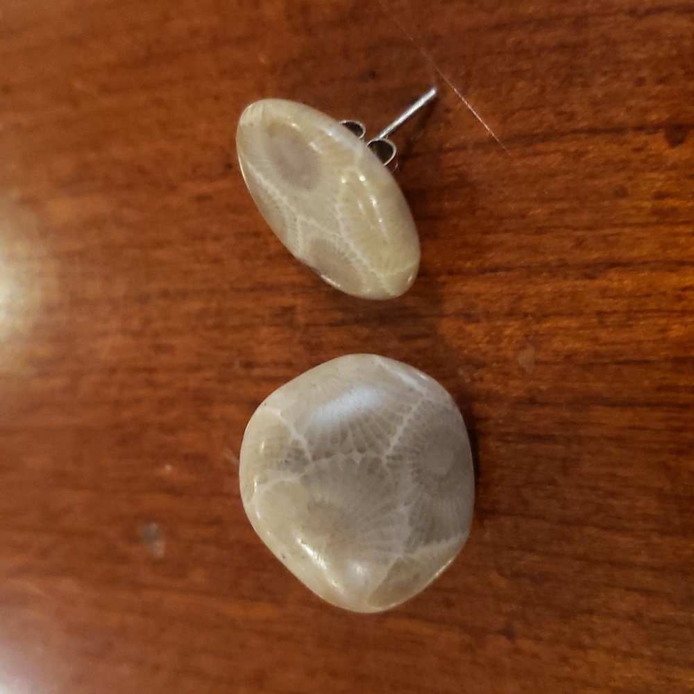 Natural Polished Stone Earrings